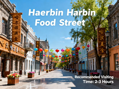 Harbin Food Street Exploration