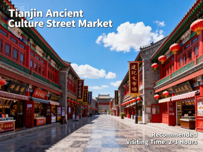 Traditional Market Experience