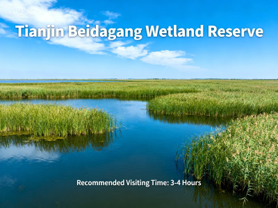 Migratory Bird Observation