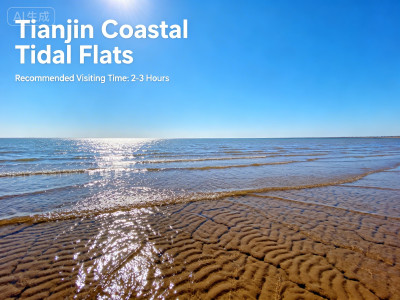 Tidal Zone Exploration