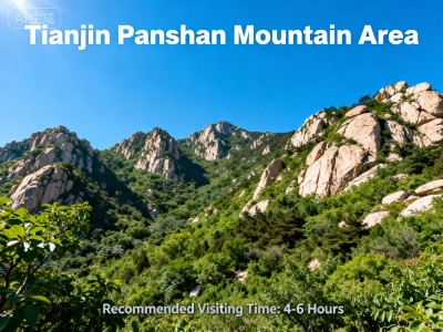 Mountain Forest Arrival